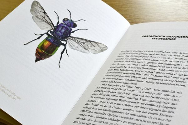 Produktbild: Mikroorgasmen &uuml;berall