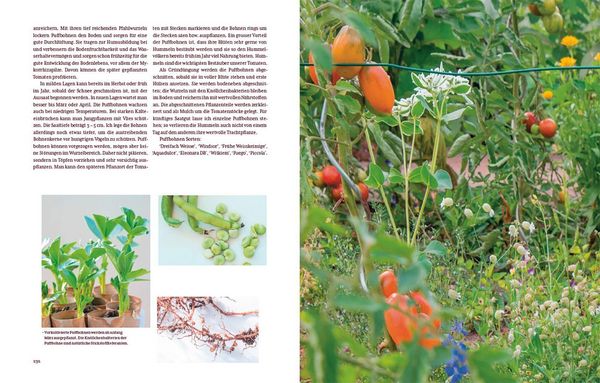 Produktbild: Tomatengl&uuml;ck