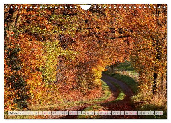 Produktbild: Idyllische Wanderwege im Bergischen Land (Wandkalender 2026 DIN A4 quer), CALVENDO Monatskalender