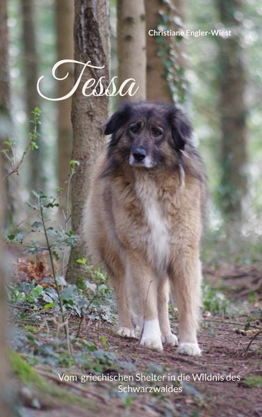 Produktbild: Tessa