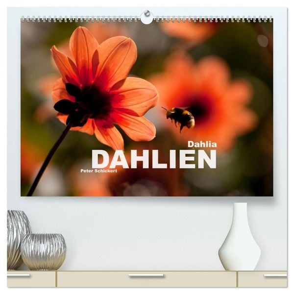 Produktbild: Dahlia - Dahlien (hochwertiger Premium Wandkalender 2026 DIN A2 quer), Kunstdruck in Hochglanz