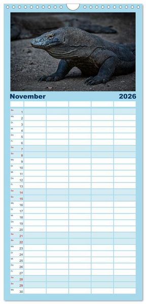 Produktbild: Familienplaner 2026 - Drachen: Geheimnisvolles Tierreich mit 5 Spalten (Wandkalender, 21 x 45 cm) CALVENDO