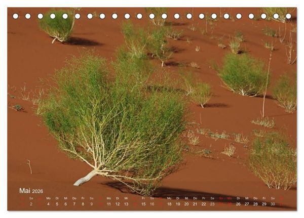 Produktbild: Afrikanische B&auml;ume (Tischkalender 2026 DIN A5 quer), CALVENDO Monatskalender
