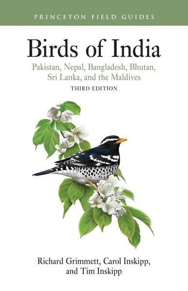 Produktbild: Birds of India