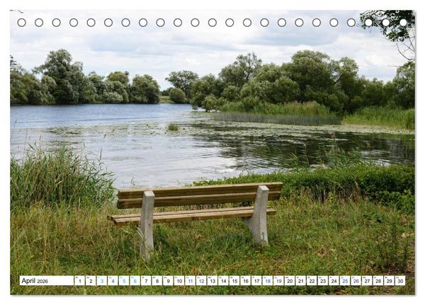 Produktbild: Ein Sommer im Havelland - Spaziergang entlang am Havelradweg (Tischkalender 2026 DIN A5 quer), CALVENDO Monatskalender