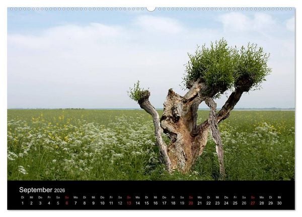 Produktbild: Traumhafte Ostseek&uuml;ste (hochwertiger Premium Wandkalender 2026 DIN A2 quer), Kunstdruck in Hochglanz