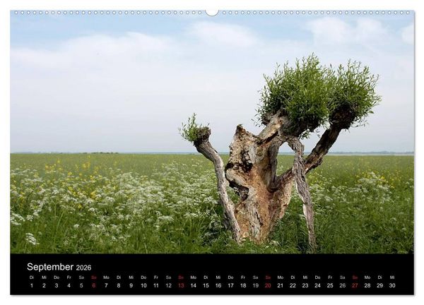 Produktbild: Traumhafte Ostseek&uuml;ste (Wandkalender 2026 DIN A2 quer), CALVENDO Monatskalender