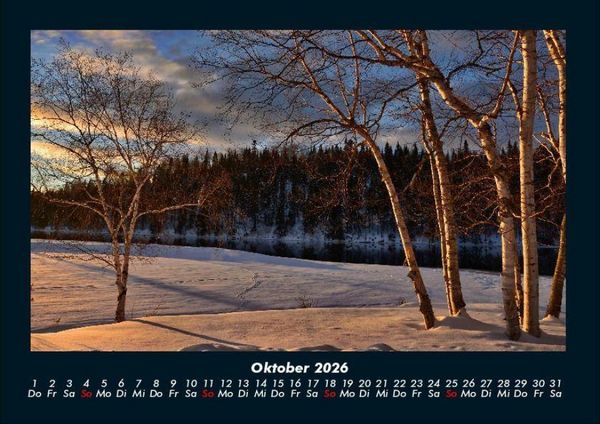 Produktbild: B&auml;ume 2026 Fotokalender DIN A4