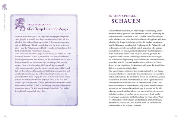 Produktbild: Shaolin - Das Geheimnis der inneren Stärke