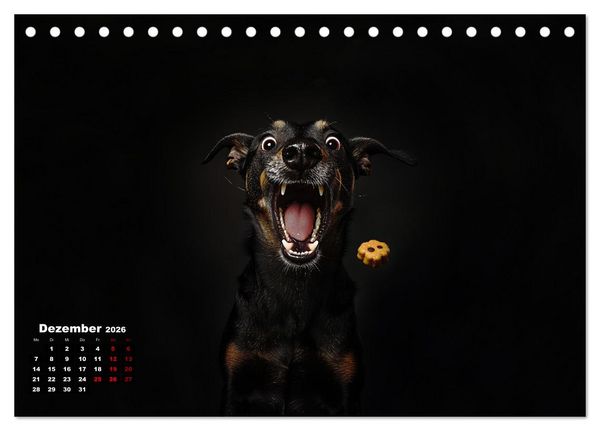 Produktbild: Leckerchen! (Tischkalender 2026 DIN A5 quer), CALVENDO Monatskalender