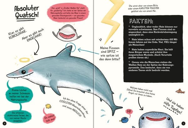 Produktbild: Keine b&ouml;sen Tiere