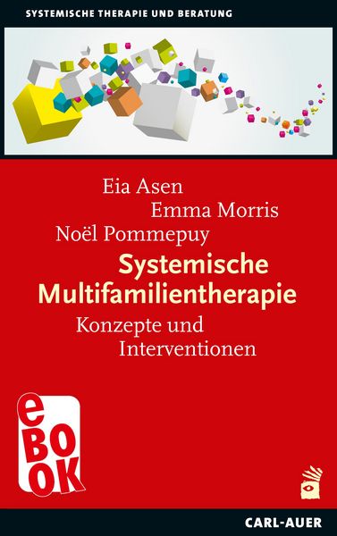 Produktbild: Systemische Multifamilientherapie