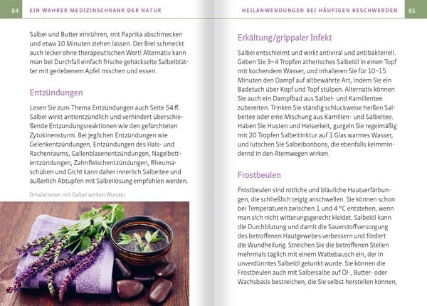 Produktbild: Salbei - Mutter aller Heilpflanzen. Kompakt-Ratgeber