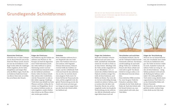 Produktbild: Pflanzenschnitt