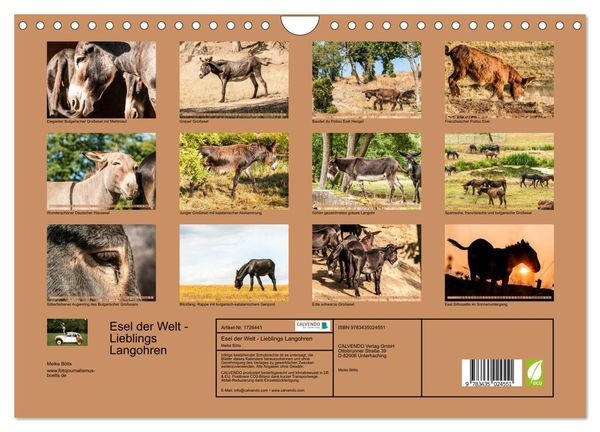 Produktbild: Esel der Welt - Lieblings Langohren (Wandkalender 2025 DIN A4 quer), CALVENDO Monatskalender