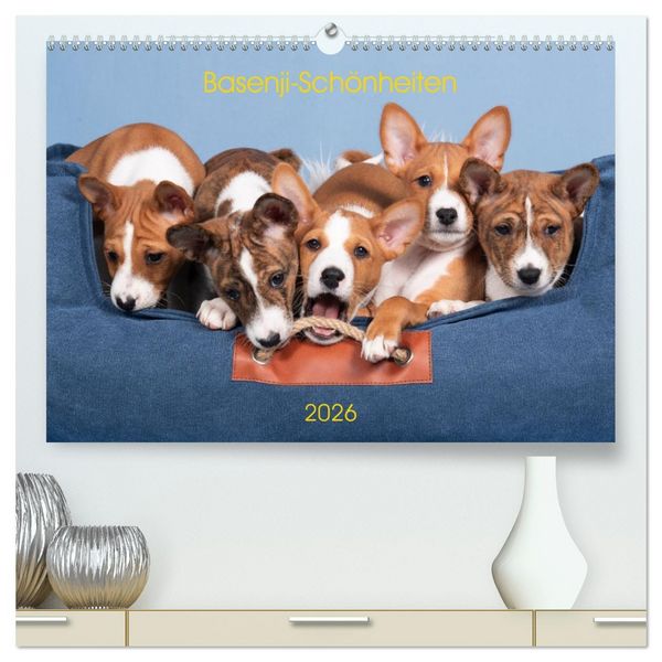 Produktbild: Basenji-Sch&ouml;nheiten (hochwertiger Premium Wandkalender 2026 DIN A2 quer), Kunstdruck in Hochglanz