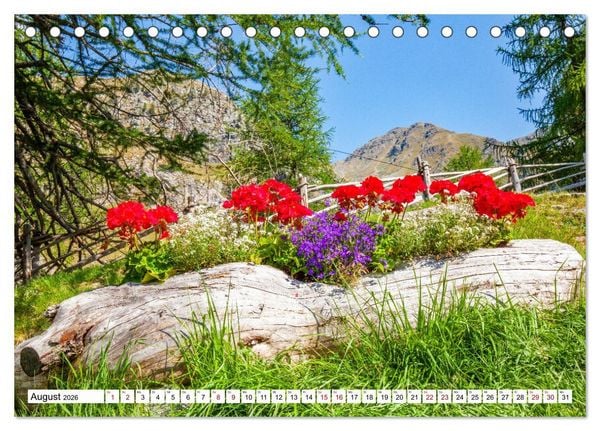 Produktbild: Almen im S&uuml;dtiroler Ultental (Tischkalender 2026 DIN A5 quer), CALVENDO Monatskalender