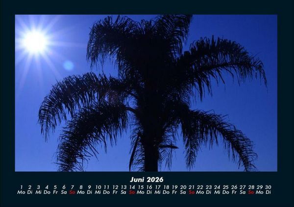 Produktbild: Palmentraum 2026 Fotokalender DIN A4