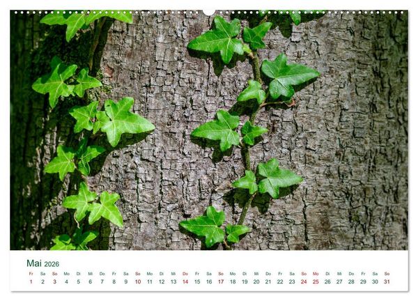 Produktbild: Auw&auml;lder bei Enns (hochwertiger Premium Wandkalender 2026 DIN A2 quer), Kunstdruck in Hochglanz