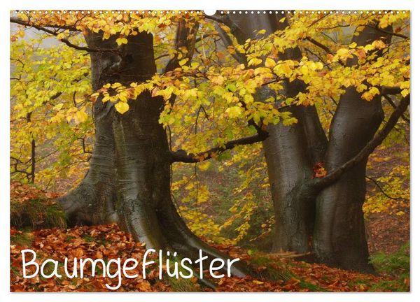 Baumgeflüster (Wandkalender 2026 DIN A2 quer), CALVENDO Monatskalender