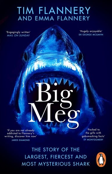 Produktbild: Big Meg