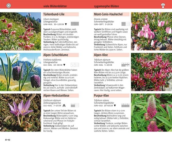 Produktbild: Blumen der Alpen