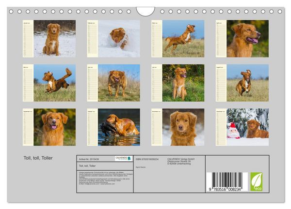 Produktbild: Toll, toll, Toller (Wandkalender 2026 DIN A4 quer), CALVENDO Monatskalender