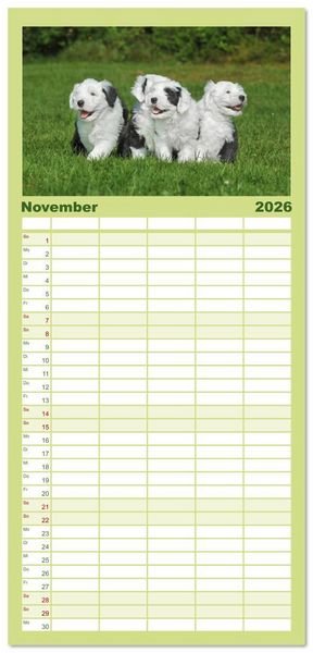 Produktbild: Familienplaner 2026 - In der Kinderstube bei Familie Bobtail mit 5 Spalten (Wandkalender, 21 x 45 cm) CALVENDO