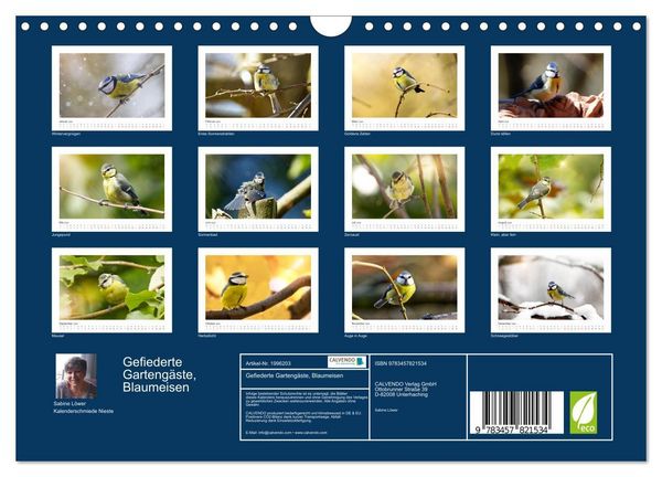 Produktbild: Gefiederte Garteng&auml;ste, Blaumeisen (Wandkalender 2026 DIN A4 quer), CALVENDO Monatskalender