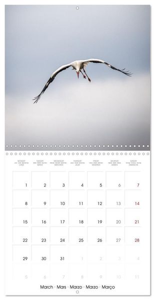 Produktbild: Whispers of Wings (Wall Calendar 2027 12 &times; 12 Inch) CALVENDO 12 Month Wall Calendar