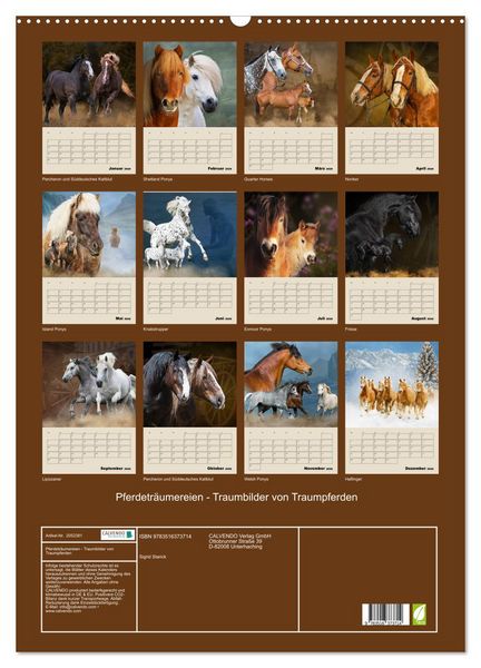 Produktbild: Pferdetr&auml;umereien - Traumbilder von Traumpferden (Wandkalender 2026 DIN A2 hoch), CALVENDO Monatskalender