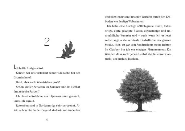 Produktbild: Baum der W&uuml;nsche
