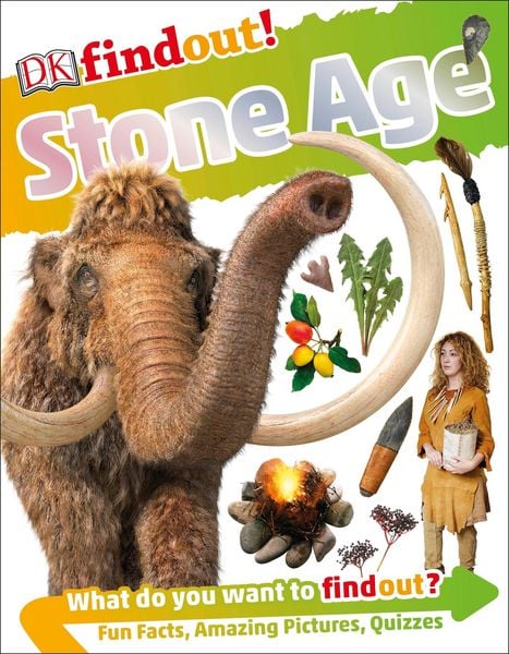 Produktbild: DKfindout! Stone Age