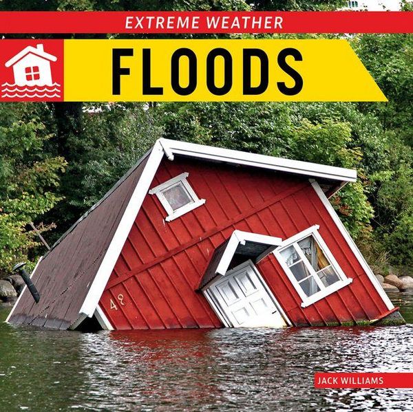 Produktbild: Floods