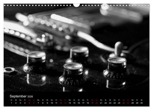Produktbild: Regelwerke - Details alter E-Gitarren (Wandkalender 2026 DIN A3 quer), CALVENDO Monatskalender