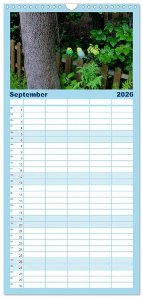 Produktbild: Familienplaner 2026 - Wellensittichtr&auml;ume - Der neue Wellensittich-Naturkalender mit 5 Spalten (Wandkalender, 21 x 45 cm) CALVENDO