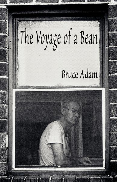 Produktbild: The Voyage of a Bean
