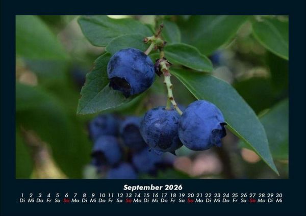 Produktbild: Obstkalender 2026 Fotokalender DIN A4