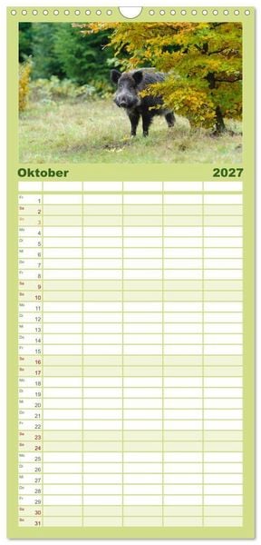 Produktbild: Familienplaner 2027 - Wildschweine &ndash; Wildlife Fotografien mit 5 Spalten (Wandkalender, 21 x 45 cm) CALVENDO