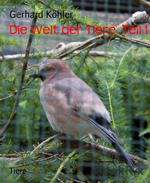 Produktbild: Die Welt der Tiere Teil 1