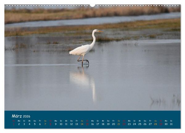 Produktbild: Naturschutzgebiet W&uuml;mme (Wandkalender 2026 DIN A2 quer), CALVENDO Monatskalender