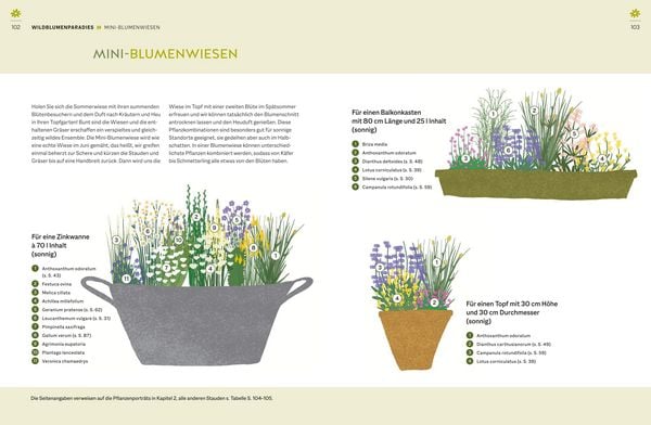 Produktbild: Wildblumen f&uuml;r Balkon und Terrasse