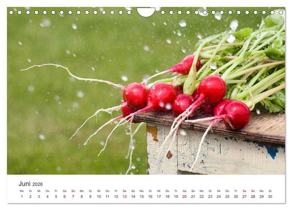 Produktbild: Frisches aus dem Gem&uuml;segarten (Wandkalender 2026 DIN A4 quer), CALVENDO Monatskalender