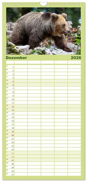 Produktbild: Familienplaner 2026 - Lautlos in den W&auml;ldern Sloweniens mit 5 Spalten (Wandkalender, 21 x 45 cm) CALVENDO
