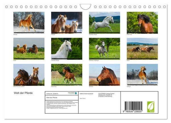 Produktbild: Welt der Pferde (Wandkalender 2026 DIN A4 quer), CALVENDO Monatskalender