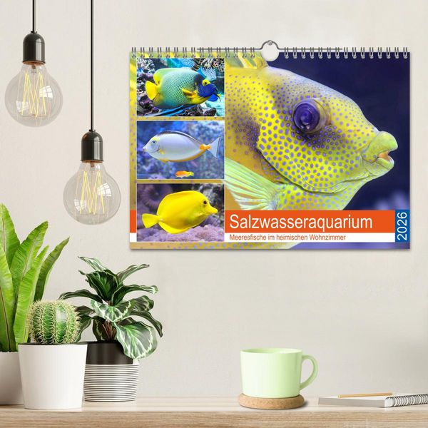 Produktbild: Salzwasseraquarium. Meeresfische im heimischen Wohnzimmer (Wandkalender 2026 DIN A4 quer), CALVENDO Monatskalender