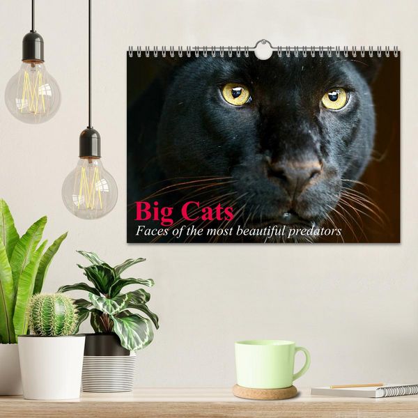 Produktbild: Big Cats &bull; Faces of the most beautiful predators (Wall Calendar 2026 DIN A4 landscape), CALVENDO 12 Month Wall Calendar