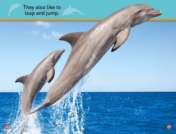 Produktbild: Dive, Dolphin!