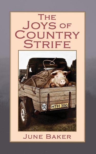 Produktbild: The Joys of Country Strife