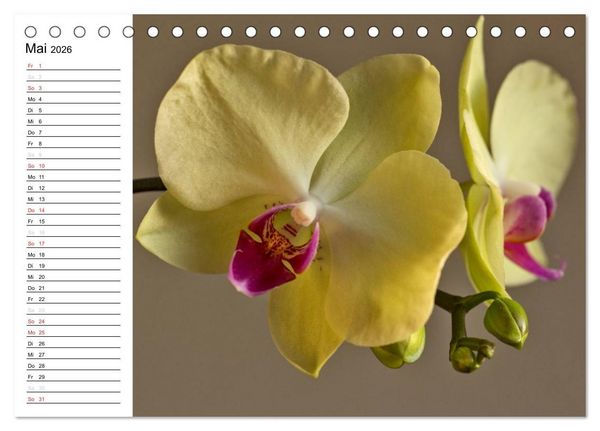 Produktbild: Bl&uuml;tenzauber Orchideen (Tischkalender 2026 DIN A5 quer), CALVENDO Monatskalender